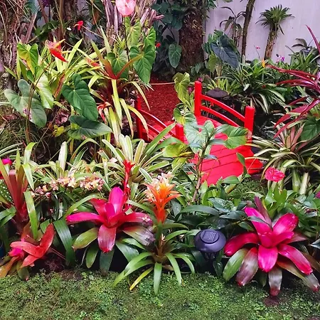 Paradise Cottage At Anthurium Hale